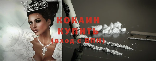стаф Каменск-Шахтинский