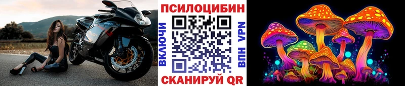 наркота Кола Галлюциногенные грибы Cubensis
